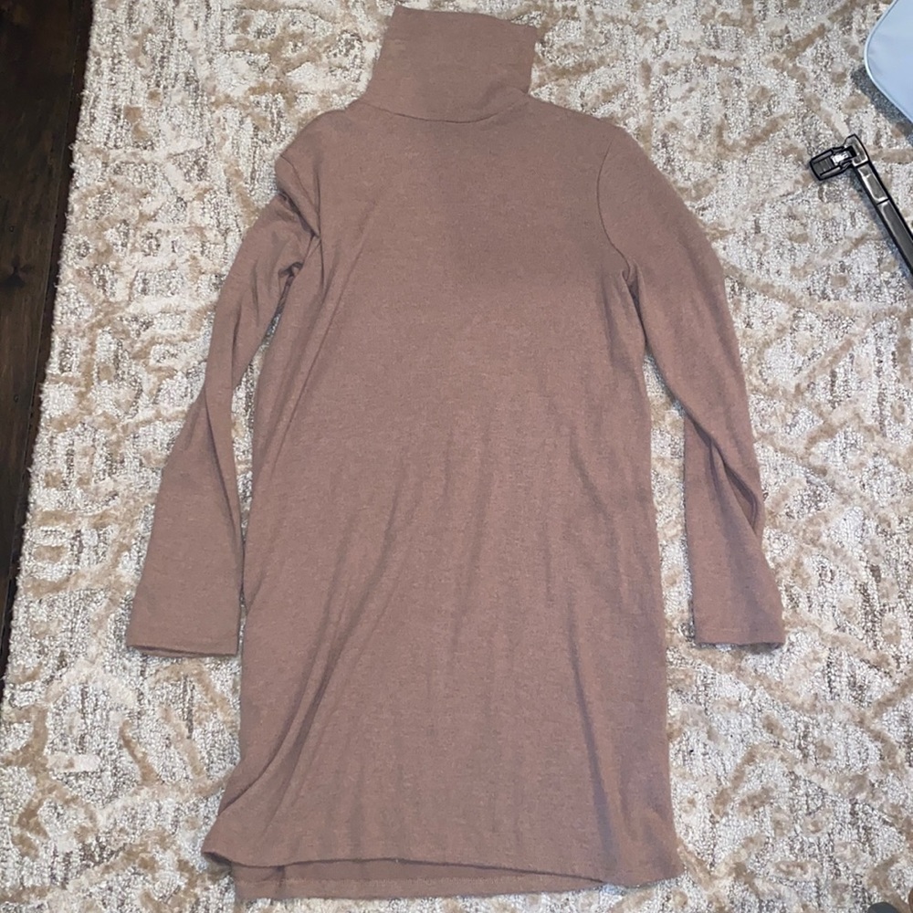 Zara Sweater Turtleneck Dress